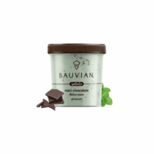 Bauvian Mint Chocolate Ice Cream (Bitter Nane Dondurma) 437ml